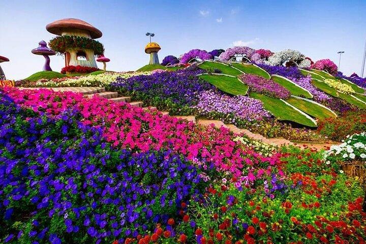 Dubai Miracle Garden Tickets with Round Trip Transfer