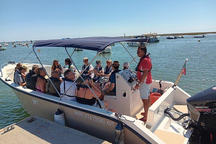 Dolphin watching and wildlife from Faro