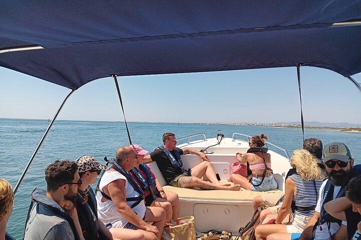 Dolphin watching and wildlife from Faro