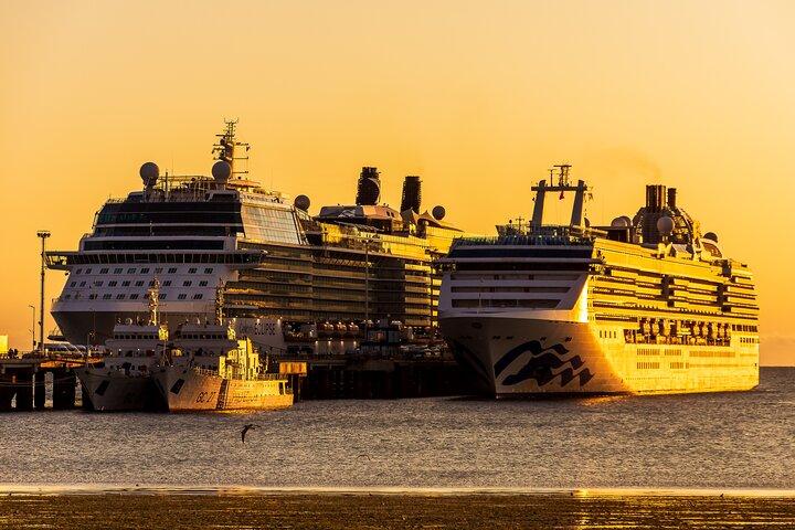Shore Tour Punta Loma & city tour cruise passengers Puerto Madryn