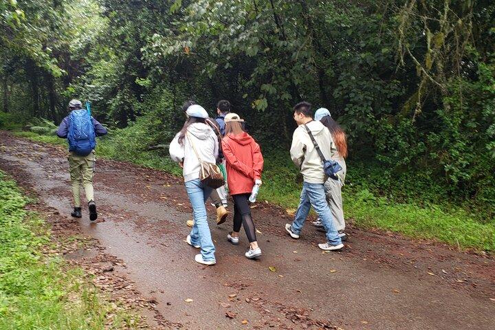 Marangu Route Day Hike on Kilimanjaro