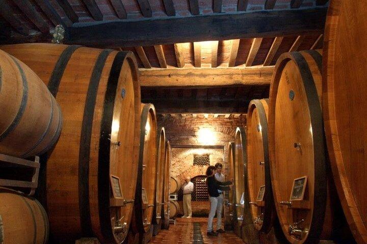 Montepulciano: Wine Tour and tasting
