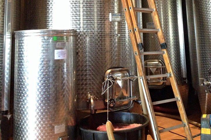 Montepulciano: Wine Tour and tasting