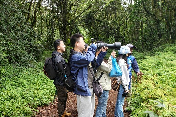 Marangu Route Day Hike on Kilimanjaro