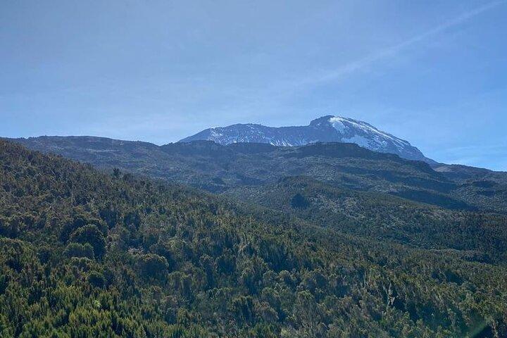 Marangu Route Day Hike on Kilimanjaro