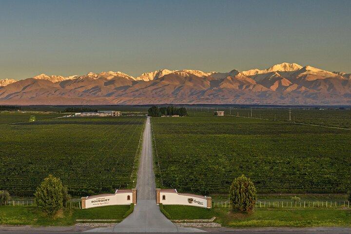 Flavors and Views of Uco Valley and Cordón Del Plata