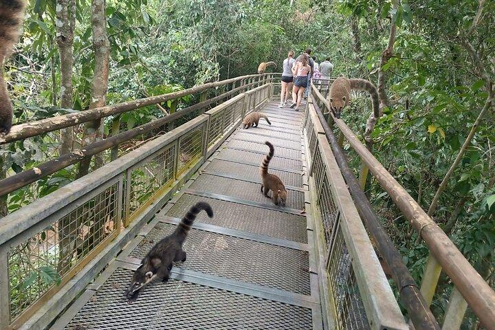 PRIVATE - Iguazu Falls BRA and ARG sides in 2 days + boat option