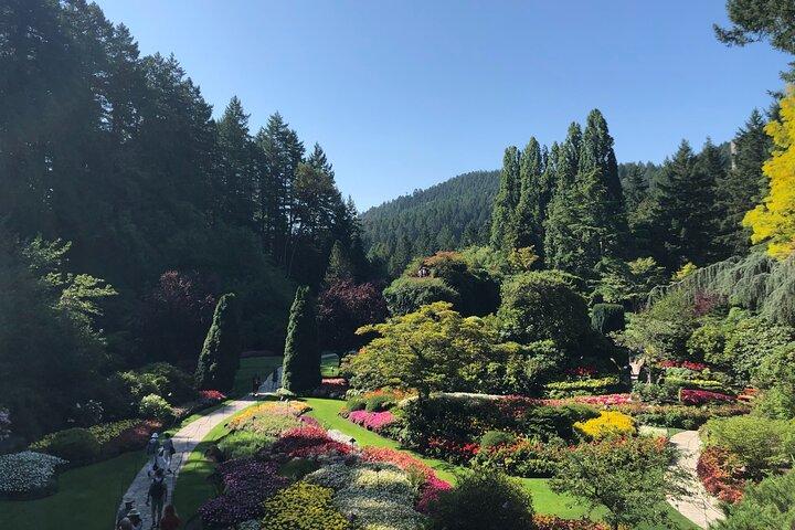 Victoria Private Tour Visiting the City and Butchart Gardens