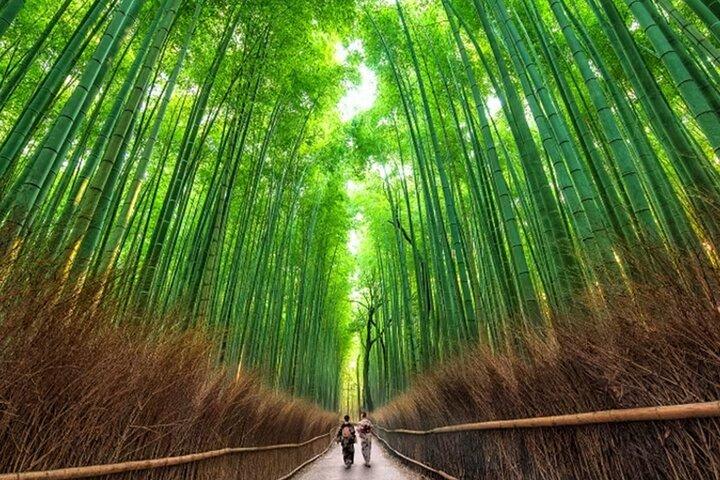 Kyoto: Arashiyama UNESCO Walking Tour with Admission