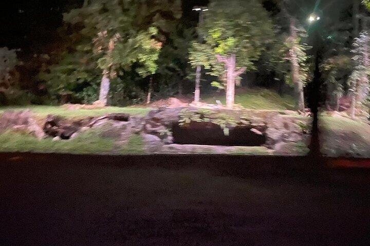 Singapore Night Safari Admission Ticket with Tram Ride E-Ticket