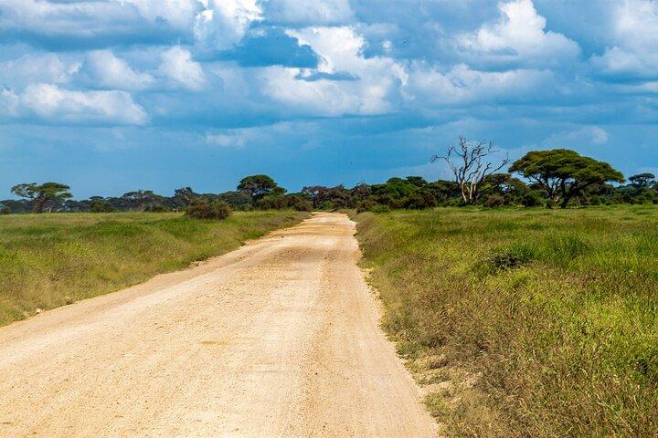 Amboseli National Park and Masai Village Day Trip From Nairobi