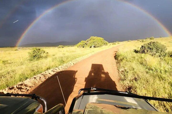 Amboseli National Park and Masai Village Day Trip From Nairobi