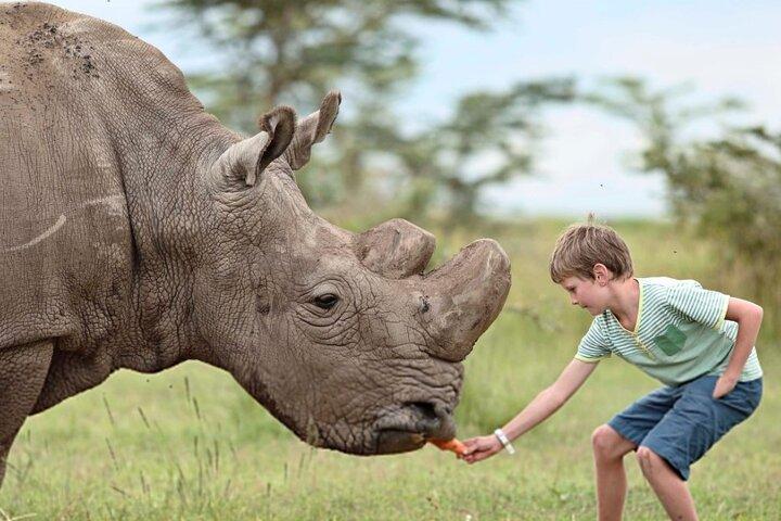 Day Tour To Ol Pejeta Conservancy