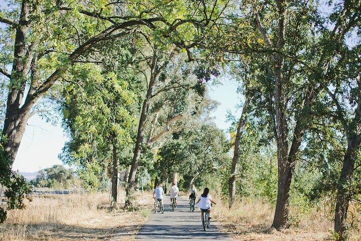 Scenic Napa Valley E-Bike Tour (no wineries)