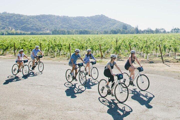 Scenic Napa Valley E-Bike Tour (no wineries)