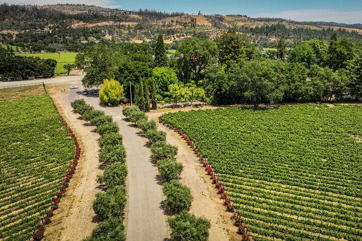 Scenic Napa Valley E-Bike Tour (no wineries)