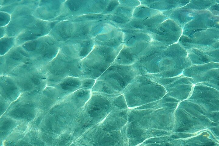 Private Full Day Snorkel Soufriere Charter
