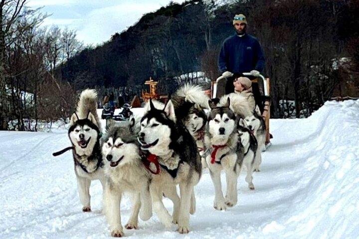 White Adventure with Sledge Ride and Snowmobile