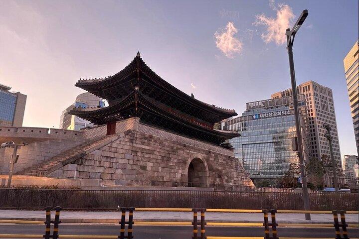 Seoul to Nami Island Alpaca World and Everland with Driver