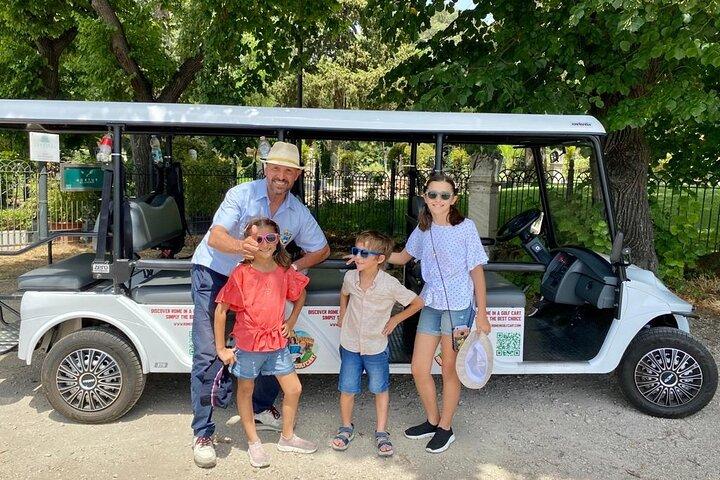 Rome: 3 Hours Golf Cart with Gelato and Trevi Fountain Entrance