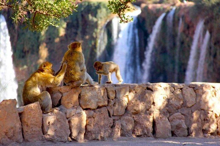 Marrakech to Ouzoud, Full Day Nature Tour with Boat Crossing