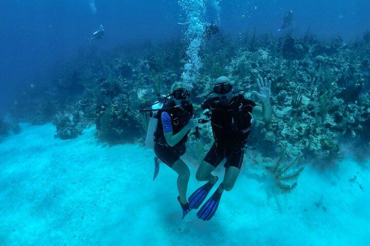 Belize Barrier Reef Two Tank Dive Experience / San Pedro Town