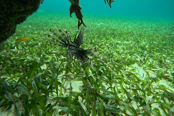 Explore Secluded Mexico Rocks and Stingray City