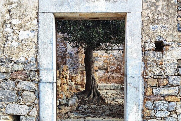 Spinalonga, Plaka, Elounda, Agios Nikolaos & Olive Mill | Private