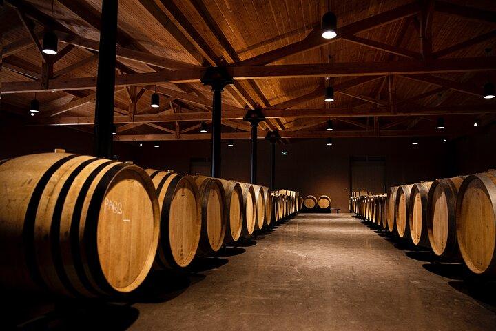 Château de Fieuzal, Pessac-Léognan: Visit and Tasting