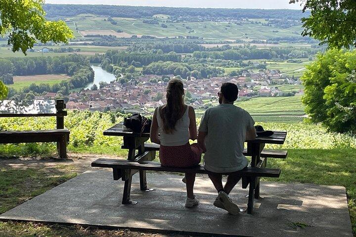 One Day Tour in Champagne with Lunch and Tasting