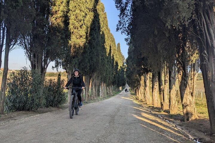 Rome: Frascati Vineyard Bike Tour with Train Tickets