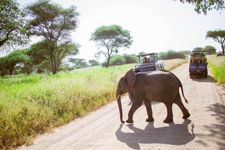 7 Days Tanzania Safari Tarangire, Serengeti and Ngorongoro
