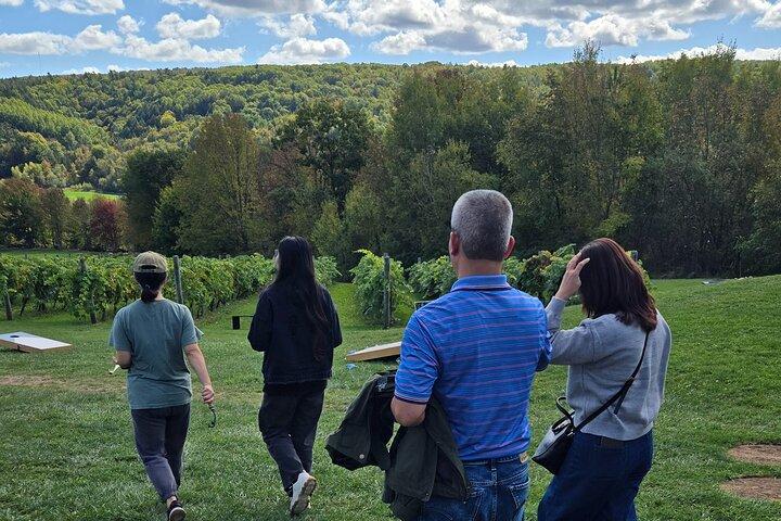 Nova Scotia Wine and Lobster Experience from Halifax