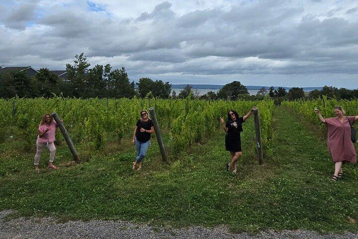 Nova Scotia Wine and Lobster Experience from Halifax