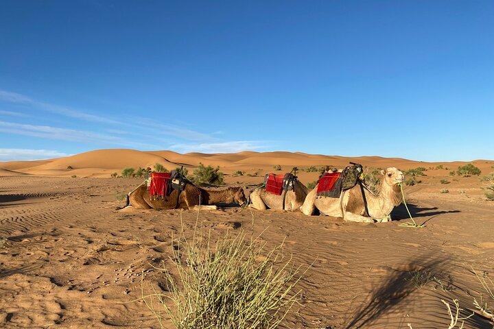 5-Day Morocco Highlights from Casablanca: Fes, Desert & Marrakech
