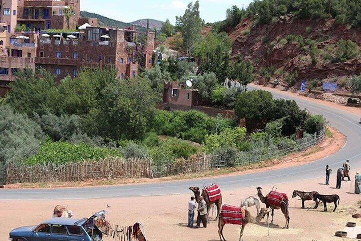 Marrakech: Ourika Valley Trip with Waterfalls Hike & Lunch