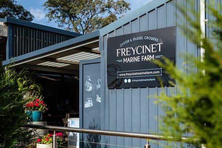 A Day in Wineglass Bay - Launceston to Hobart