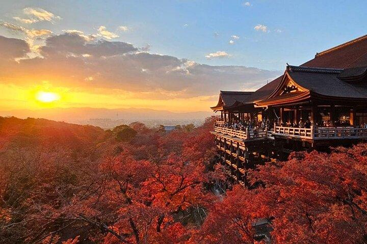 Explore Osaka Kyoto with Sightseeing Pass