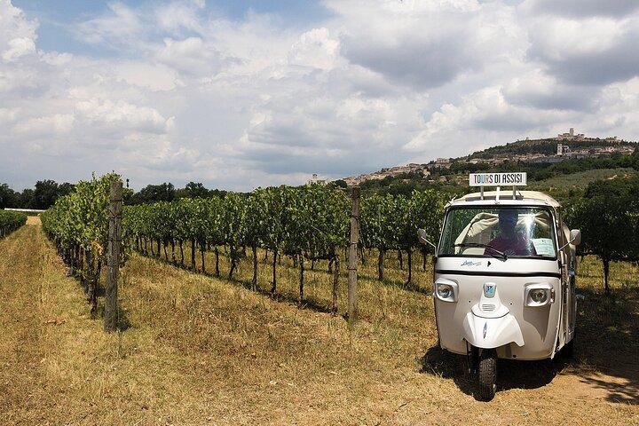Spello wine tour by tuk tuk in Italian