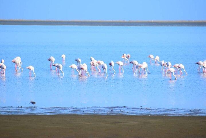 Half day Sandwich Harbour 4x4 Tour