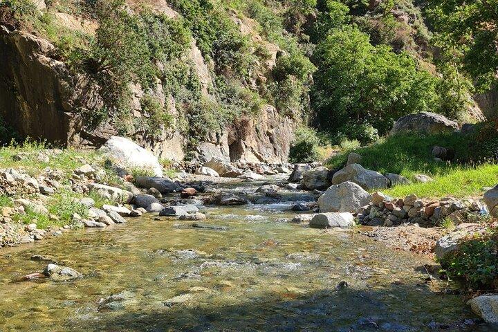 Excursion to the Ourika Valley