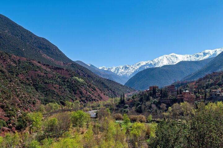 Excursion to the Ourika Valley