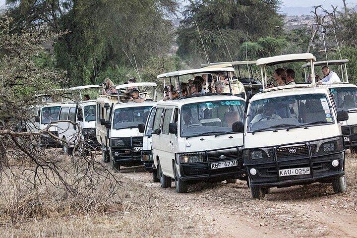 Maasai Mara National Reserve 3 Day Minivan Tour