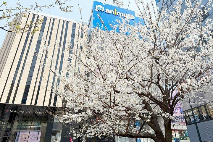 Ikebukuro Anime and Game Culture Experience Tour