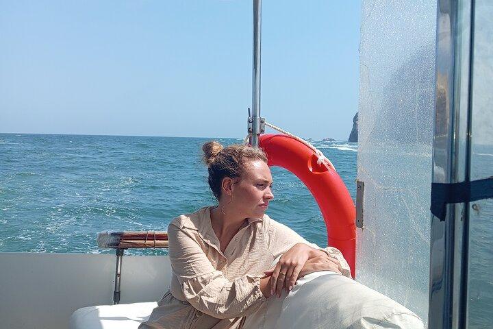 Palomino Islands Yacht Tour for Swimming with Sea Lions