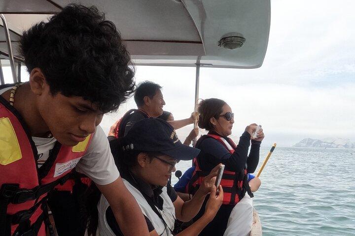 Palomino Islands Yacht Tour for Swimming with Sea Lions