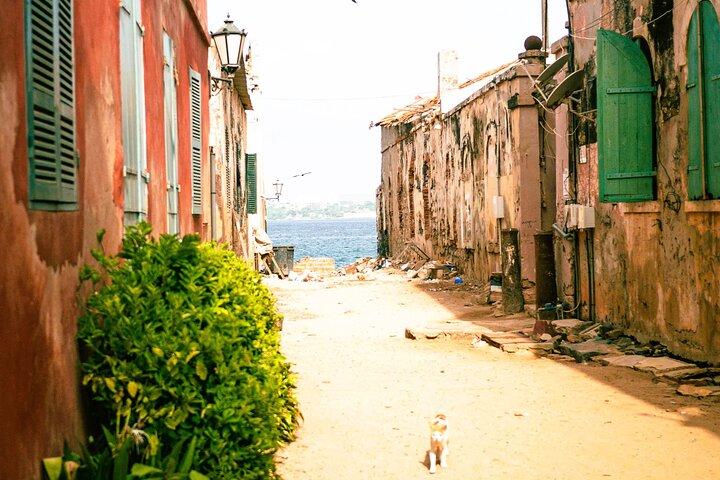 Explore Gorée Island History Memory and Heritage UNESCO