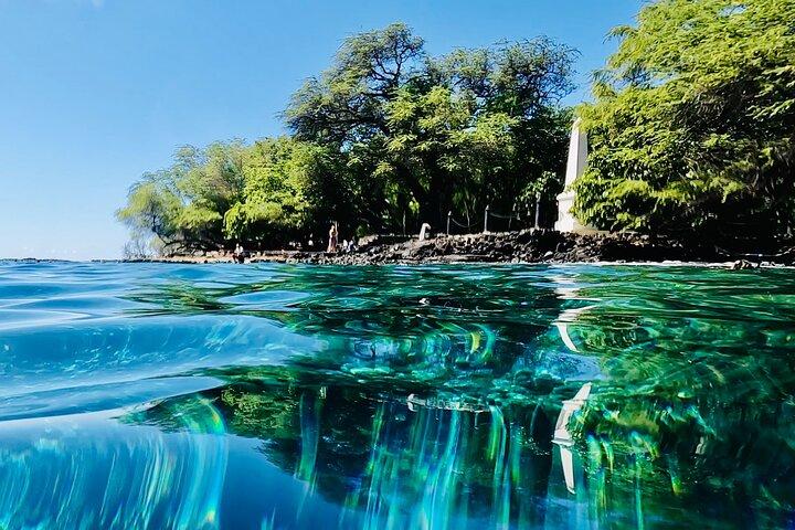 Kealakekua Bay Snorkel & Dolphin Safari In Kona Big Island (4hrs)