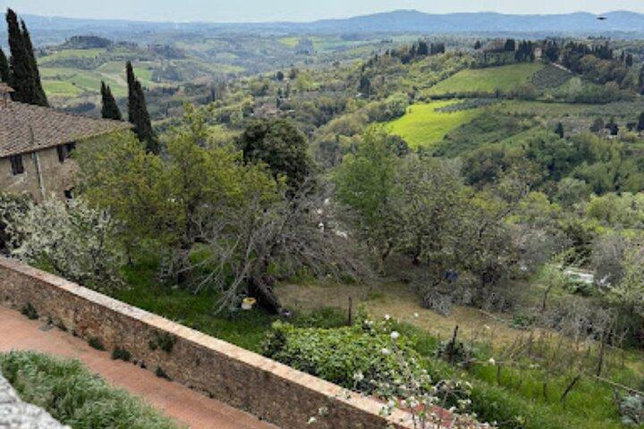 Private Tour- Chianti By Minivan At Sunset
