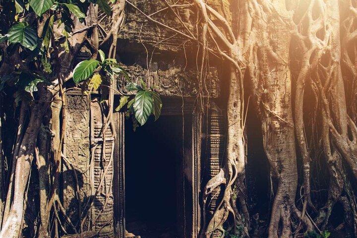 Angkor Thom Ta Prohm and Sunset in Angkor Wat Golden Hour Tour